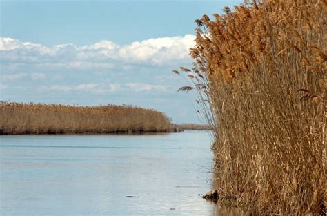 U S Epa Announces Million In Grants For Great Lakes Mlive