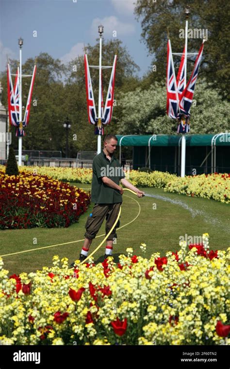 Buckingham palace garden flowers hi-res stock photography and images ...