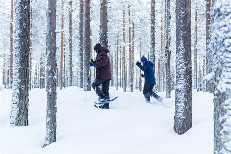 Private Luxury Lodge In Swedish Lapland Loggers Lodge