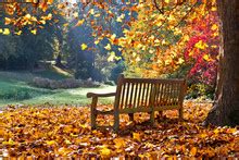 autumn seat background  stock photo public domain pictures
