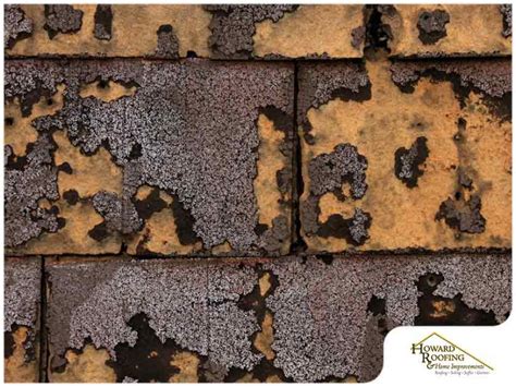 Dry Rot On Roofing And How To Spot Its Telltale Signs