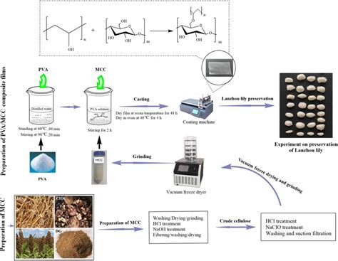 Preparation Procedure Of Pva Mcc Composite Films Download Scientific