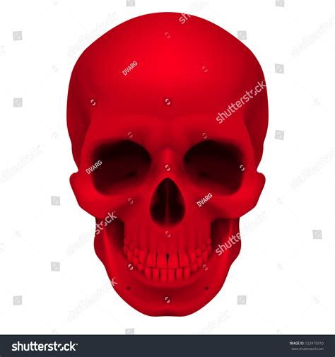 Realistic Red Skull Illustration For Designer On A White Background