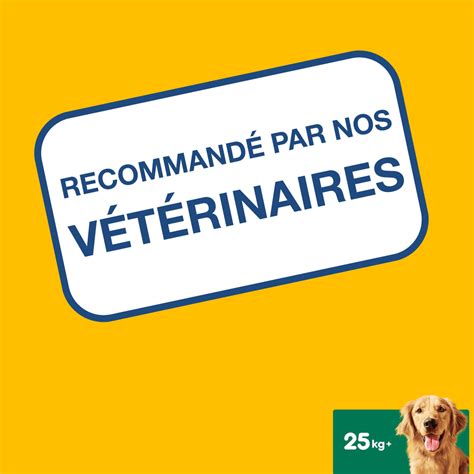 Pedigree Dentastix B Tonnets Hygi Ne Bucco Dentaire Pour Grand Chien