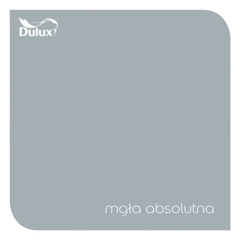 Emulsja Dulux Easycare Mgła Absolutna 2 5L 5237245 Cena Opinie