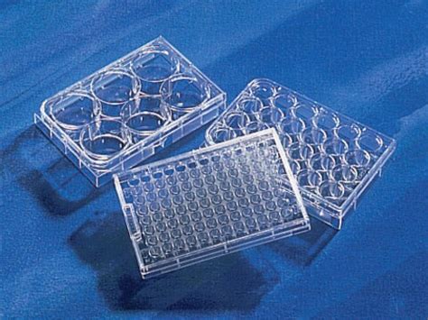 Corning Well Sulfhydryl Bind Microplate Flat Bottom Clear