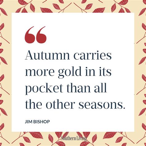 55 Clever Fall Sayings For Signs