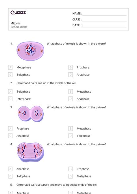 The Cell Cycle And Mitosis Worksheets On Quizizz Free Printable