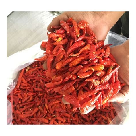 Organic Single Spices Dried Chili Pepper Hot Pepper Red Chilli For Sale Buy Red Chili Pepped