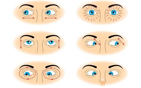 Eye muscle exercises - Carla Grobler Occupational Therapist