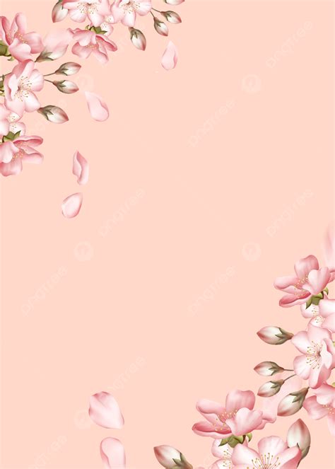 fundo elegante de flores rosa flores petala  amigo imagem de plano