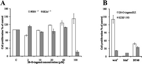 O Ingenol Ez A Catalytic Topoisomerase Ii Inhibitor