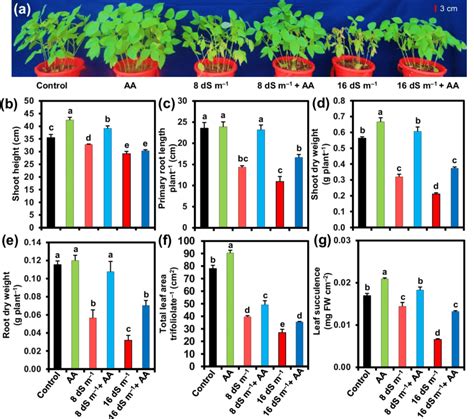 Effects Of Foliar Applied Acetic Acid On A The Overall Growth B