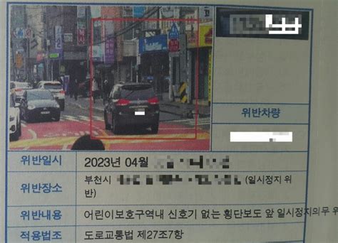 “스쿨존 횡단보도 일시정지 안 했다가 7만원 범칙금 냅니다” 서울신문