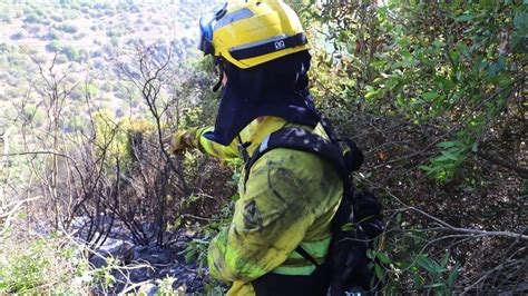 La Superficie Afectada Por Fuegos Forestales Cae En C Rdoba Un Y