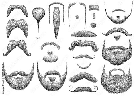 Stockvector Beard Illustration Drawing Engraving Ink Line Art Vector Adobe Stock