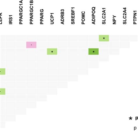 Mutually Exclusive Or Co Occurring Gene Pairs In Obesity Patients Are