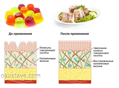 Коллаген или желатин: в чем разница и что выбрать?