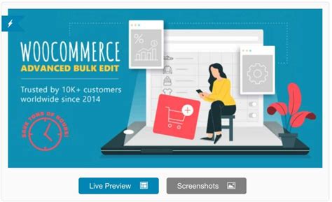 Edit In Bulk The Best WooCommerce Plugins