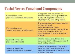 Facial nerve | PPT