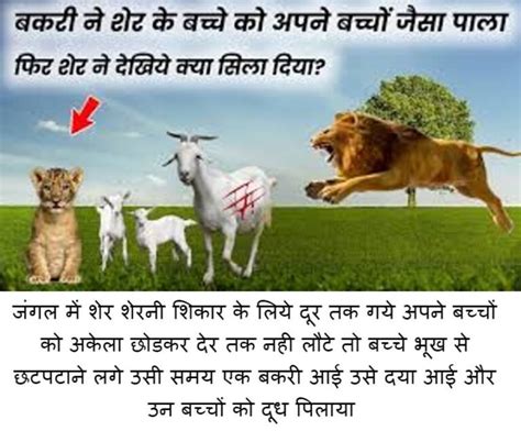 शेर के बच्चो और बकरी की कहानी Sher Ke Bachho Aur Bakri Ki Kahani Hindi Message