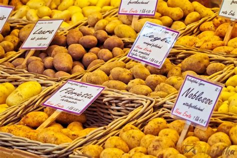 Cold Email Mistakes That Kill Your Response Rates - Mystrika - Grow ...