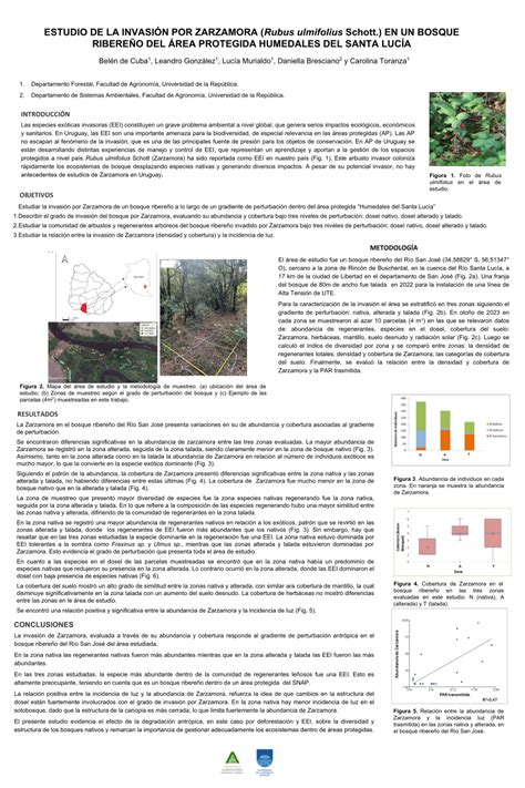 Pdf Estudio De La Invasi N Por Zarzamora Rubus Ulmifolius En Un