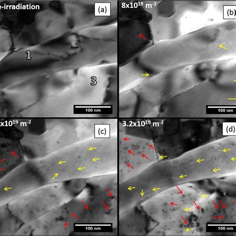 He 1 Ion Irradiated Tungsten Samples TEM And SEM Micrographs Of