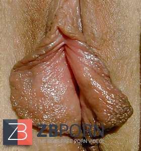 Grosse Lange Schamlippen ZB Porn