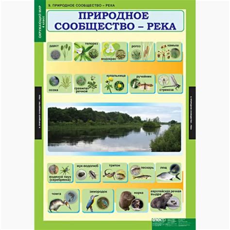 Окружающий мир 4 класс. История России