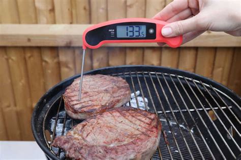 How To Use An Instant Read Digital Meat Thermometer Correctly