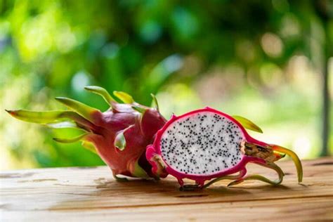 Como Plantar Pitaya Diferentes Formas Para Fazer Em Casa