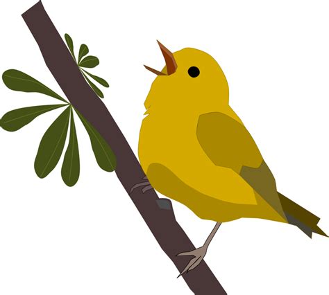 Cute Yellow Black Bird On Branch Tree Free PNG 21049138 PNG