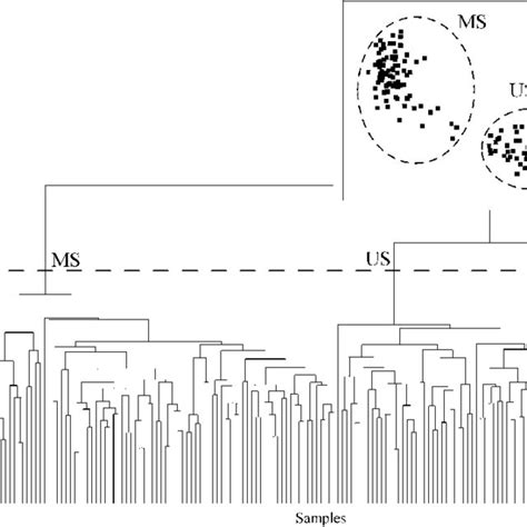 Dendrogram And MDS Ordination Of Samples Made During The Experimental