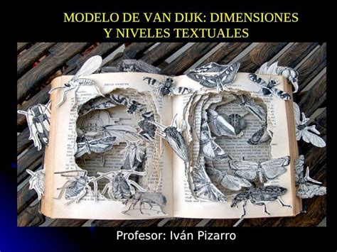 PPT MODELO DE VAN DIJK DIMENSIONES Y NIVELES TEXTUALES MODELO DE VAN