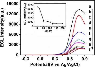 ECL intensity vs potential profiles of 100 μM luminol RAW 264 7