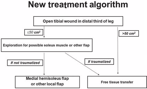 Suggested Algorithm For Selection Of Soft Tissue Reconstruction Of