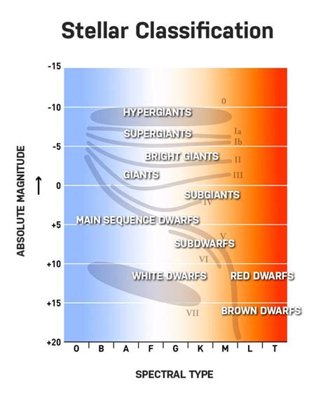 types  stars stellar classification lifecycle  charts
