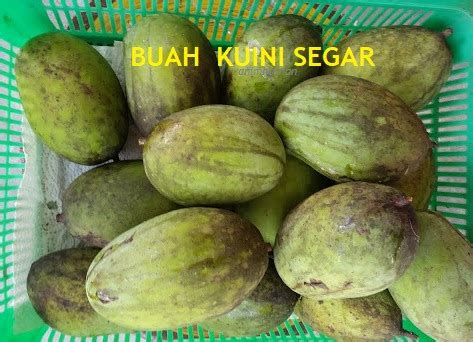 Anim Agro Technology BUAH KUINI SATU FAKTA