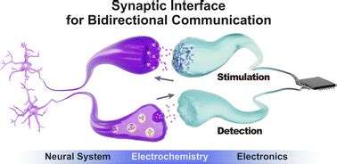 Streamlining The Interface Between Electronics And Neural Systems For