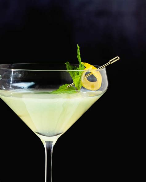 Gin Mixology 33 Gin Drink Recipes To Try