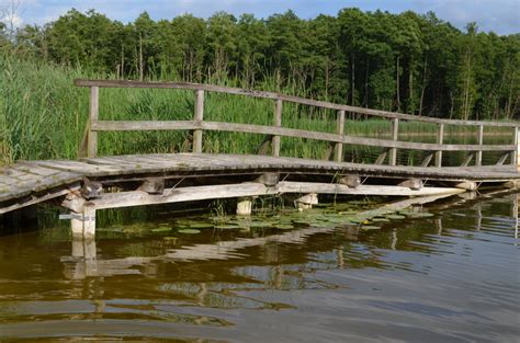 images tree nature winter dock black  white boardwalk