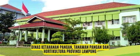 Home Dinas Ketahanan Pangan Tanaman Pangan Dan Hortikultura Provinsi