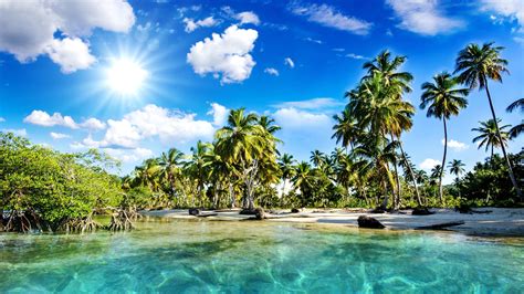 Fonds D Cran Beau Paysage Tropiques Plage Palmiers Mer Soleil