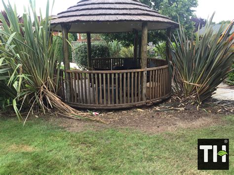Bamboo Root & Rhizomes Removal Archives - Tree Surgeons Essex | T.H