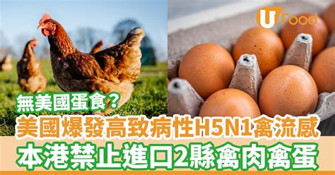 美國爆發高致病性h5n1禽流感 本港禁止進口2縣禽肉禽蛋 U Food