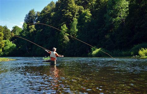 PESCA CON MOSCA cómo realizarla adecuadamente y más