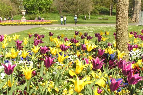 Best Time To Visit Kew Gardens | Unveiling The Best Season