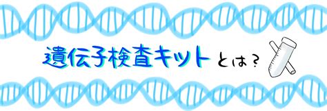 遺伝子検査キットとは何か？検査できる項目や使い方について徹底解説 Prebell