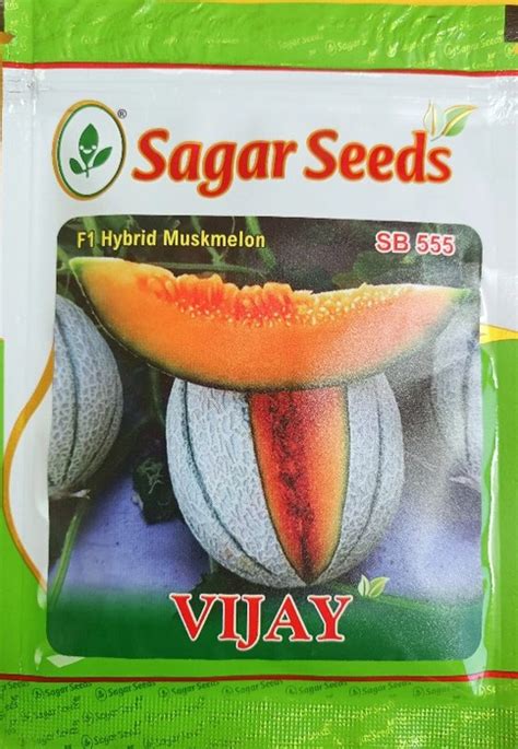 Buy Vijay F1 Hybrid Muskmelon Sagar Seeds Online From Modern Jamindar